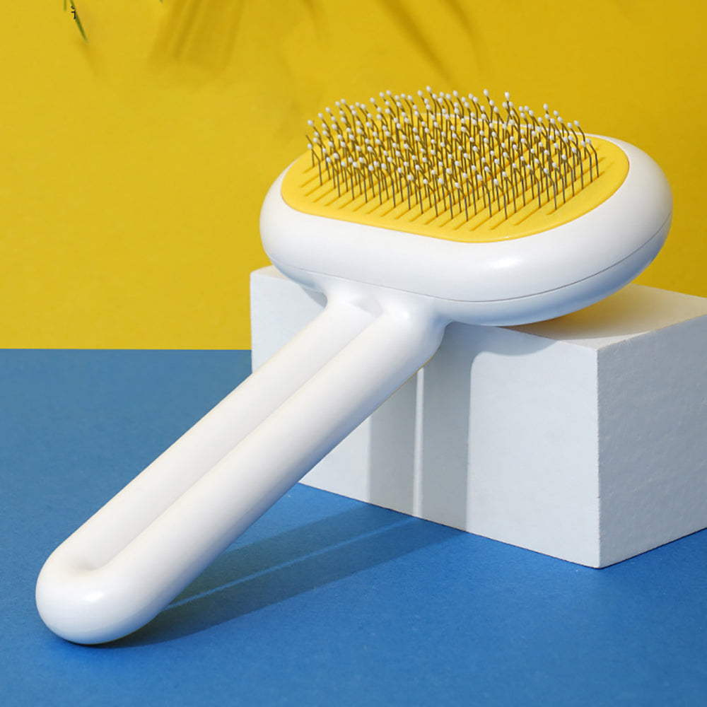 Hair Brush