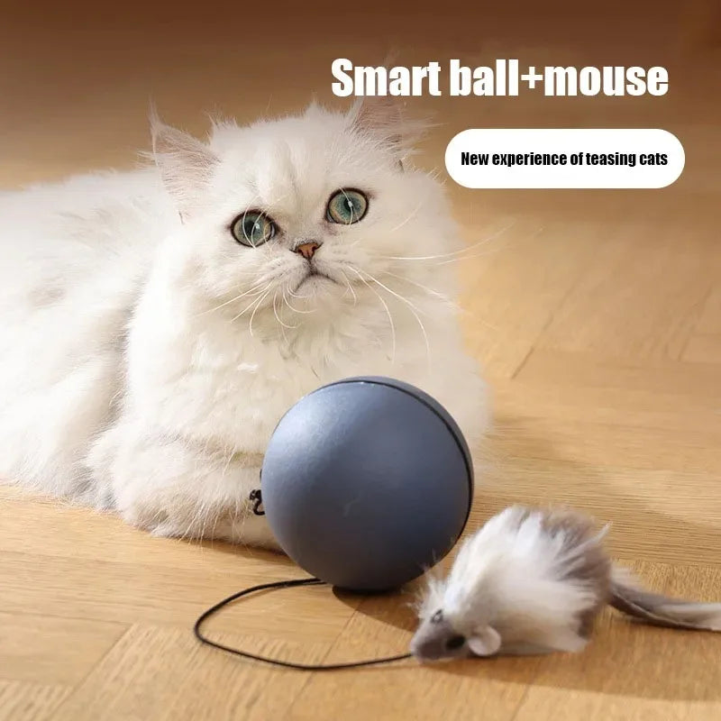 Cat Mouse Toy