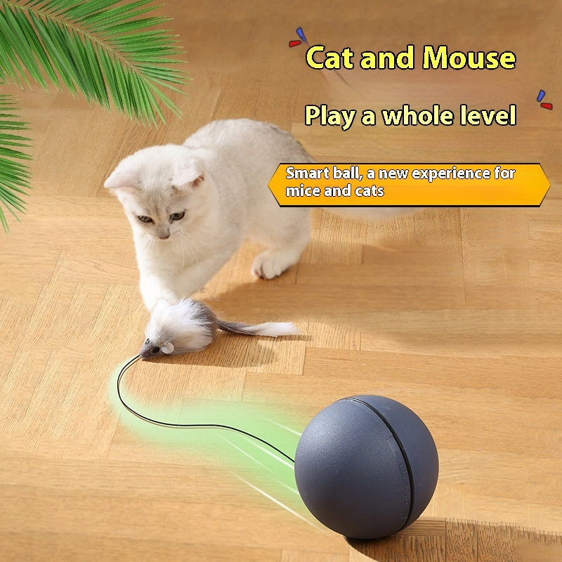 Cat Mouse Toy