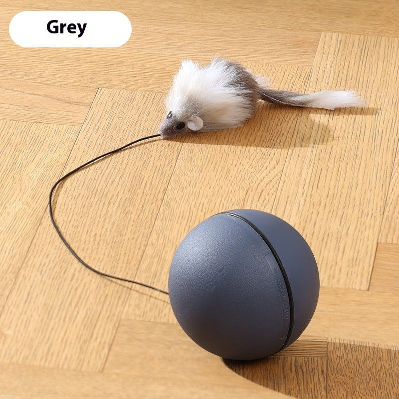 Cat Mouse Toy
